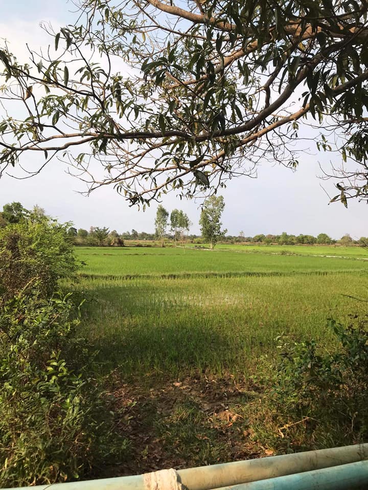 ที่ดินทุ่งนา ติดบึงท่าช้าง มีคลองส่งน้ำ อุบลราชธานี 10-2-70.2 ไร่