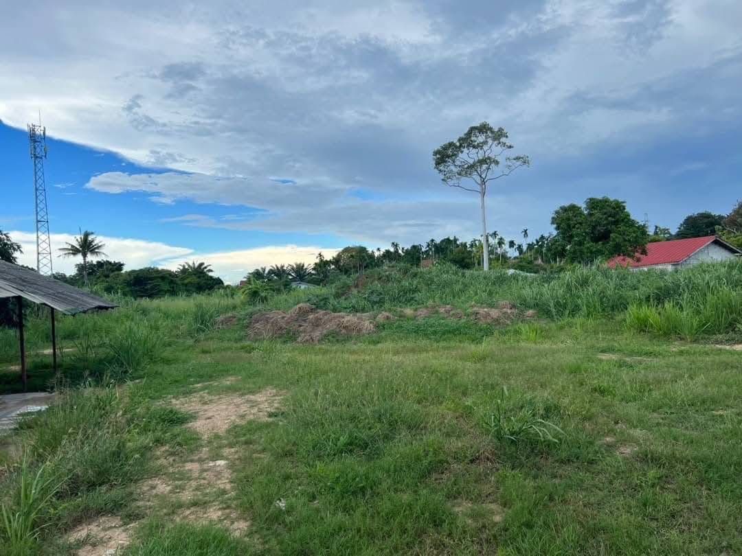 ทำเลสวยพร้อมจัดการสร้างบ้านและโรงแรม