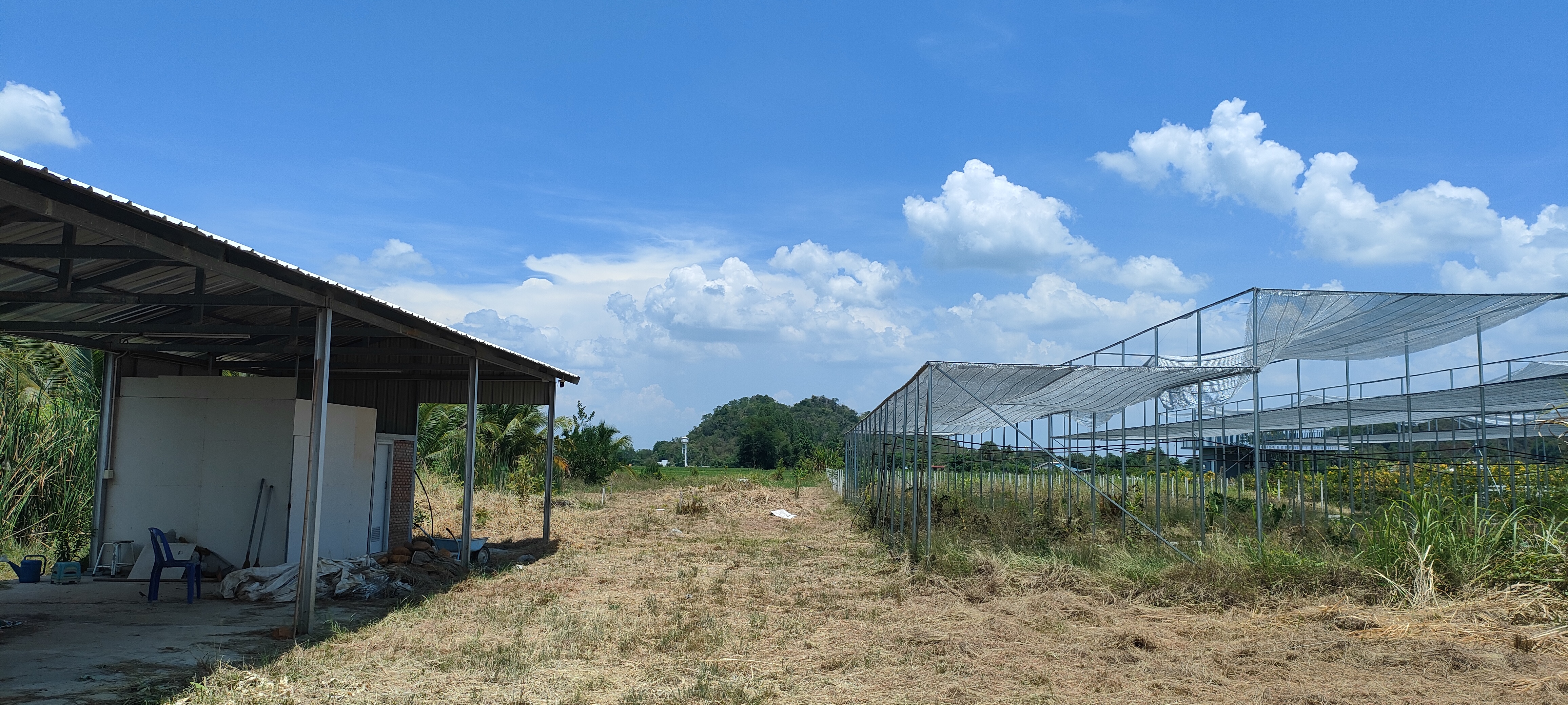 ขายที่ดินหลังวัดเขาช่องพราน ราชบุรี 5-2-10.3 ไร่