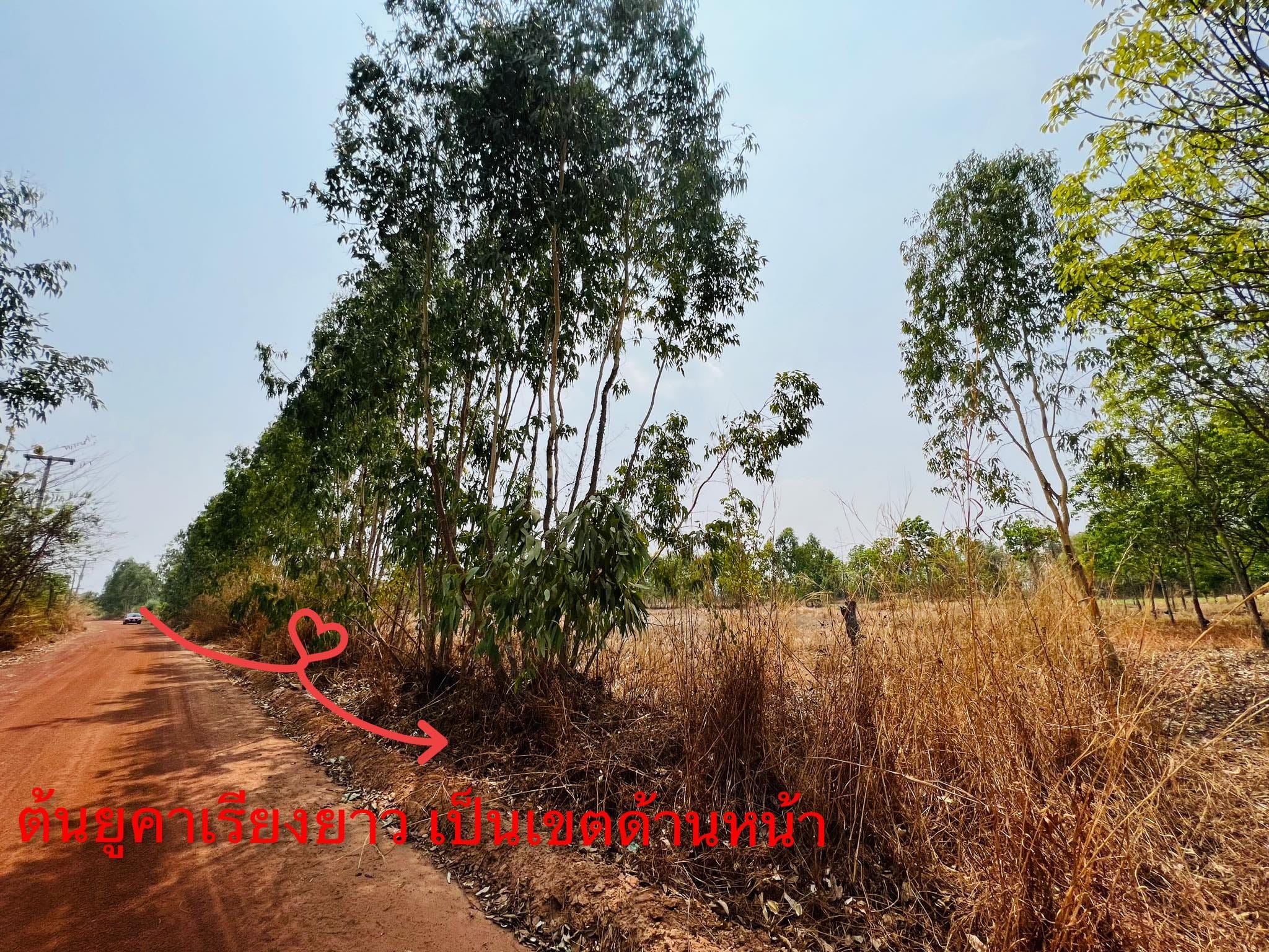ขายที่ดินอำเภอสว่างแดนดิน ไฟฟ้า น้ำถึง 
