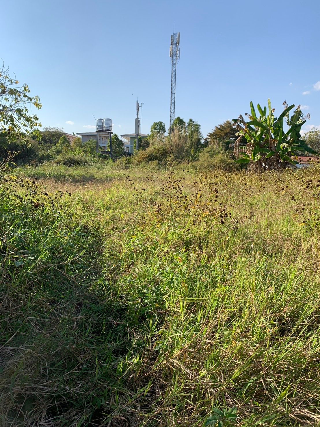 ขายที่ดินหน้ามหาวิทยาลัยราชภัฏเชียงราย ราคาคุยกันได้