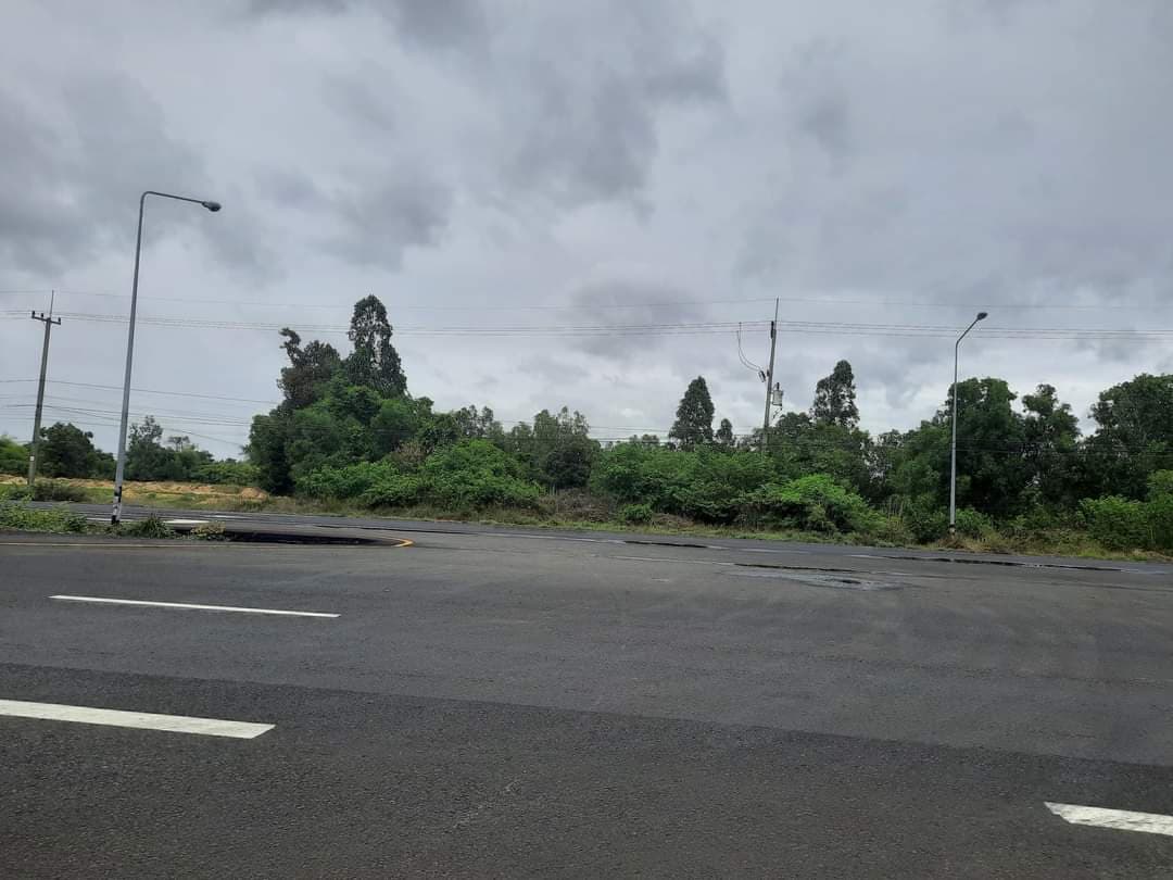 ที่ดินเปล่า ยโสธร 4-0-29.4