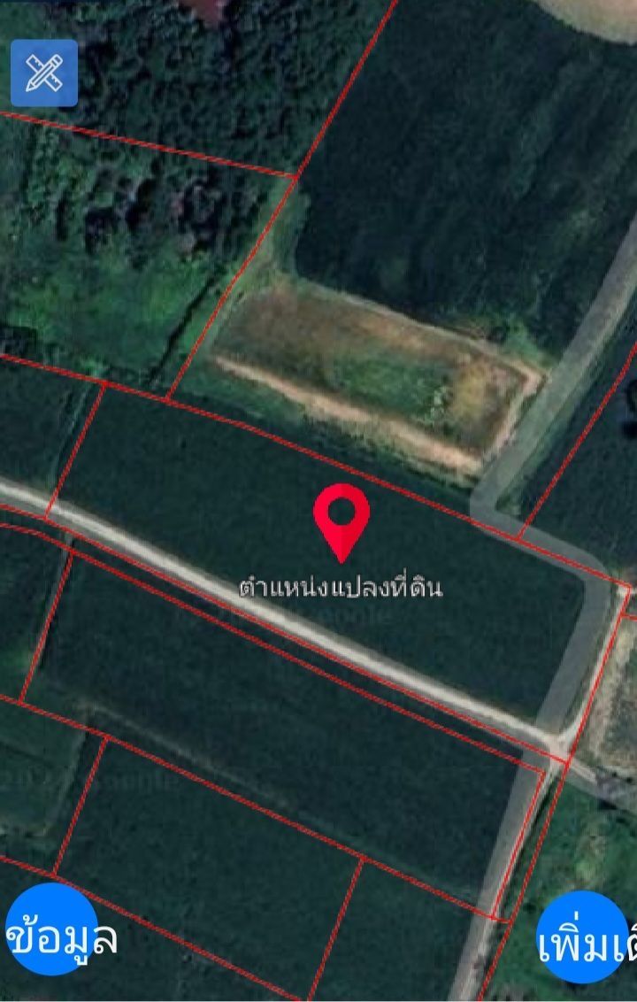 ขายที่ดินสระบุรี เฉลิมพระเกียรติ