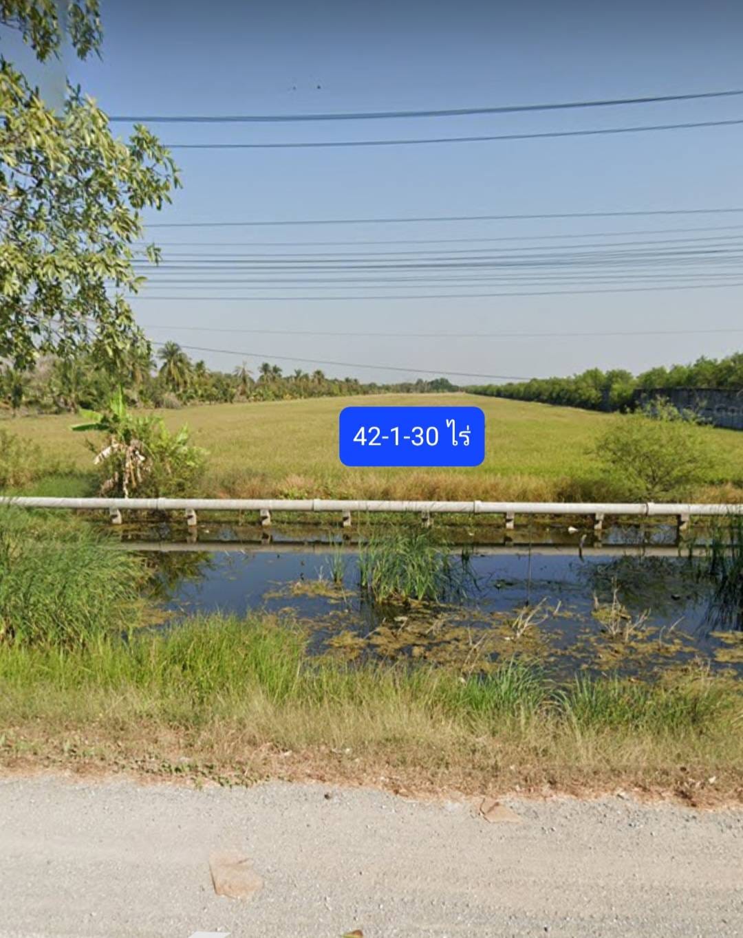 ที่ดินแปลงสวย อำนวยเรื่องการลงทุน