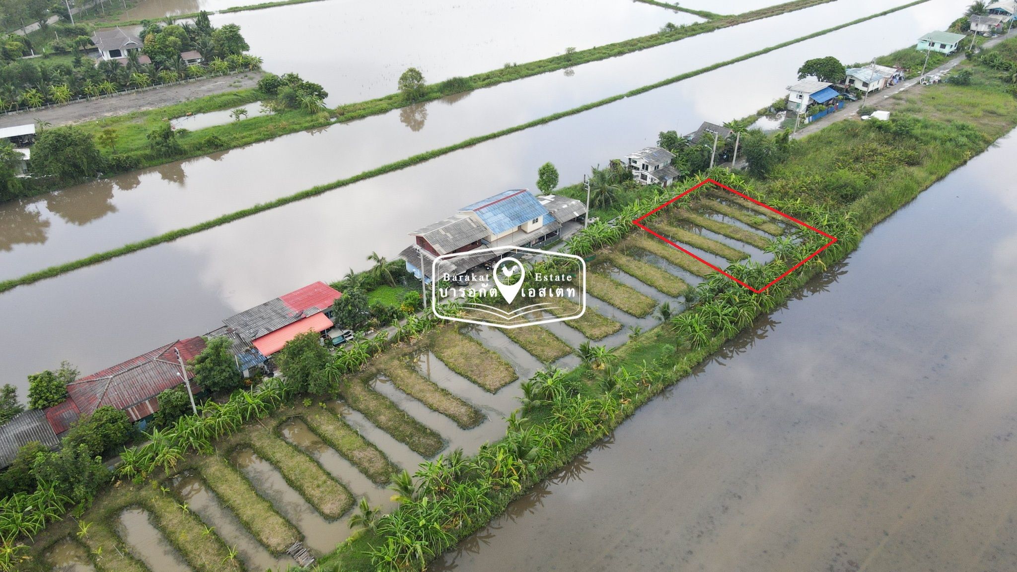  แปลงสวยบรรยากาศดี แหล่งชุมชนไม่แออัด เหมาะสำหรับปลูกบ้าน หรือประกอบธุรกิจ