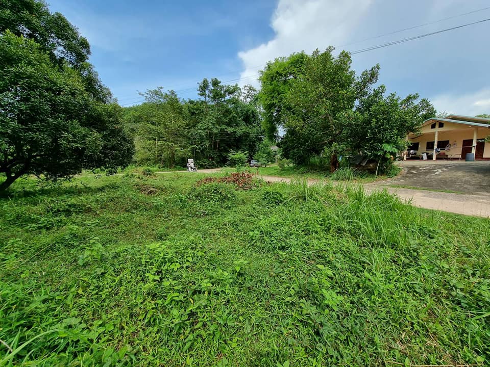 ขายที่ดิน จ.อุบลราชธานี อ.บุณฑริก 0-1-13 ตรว.