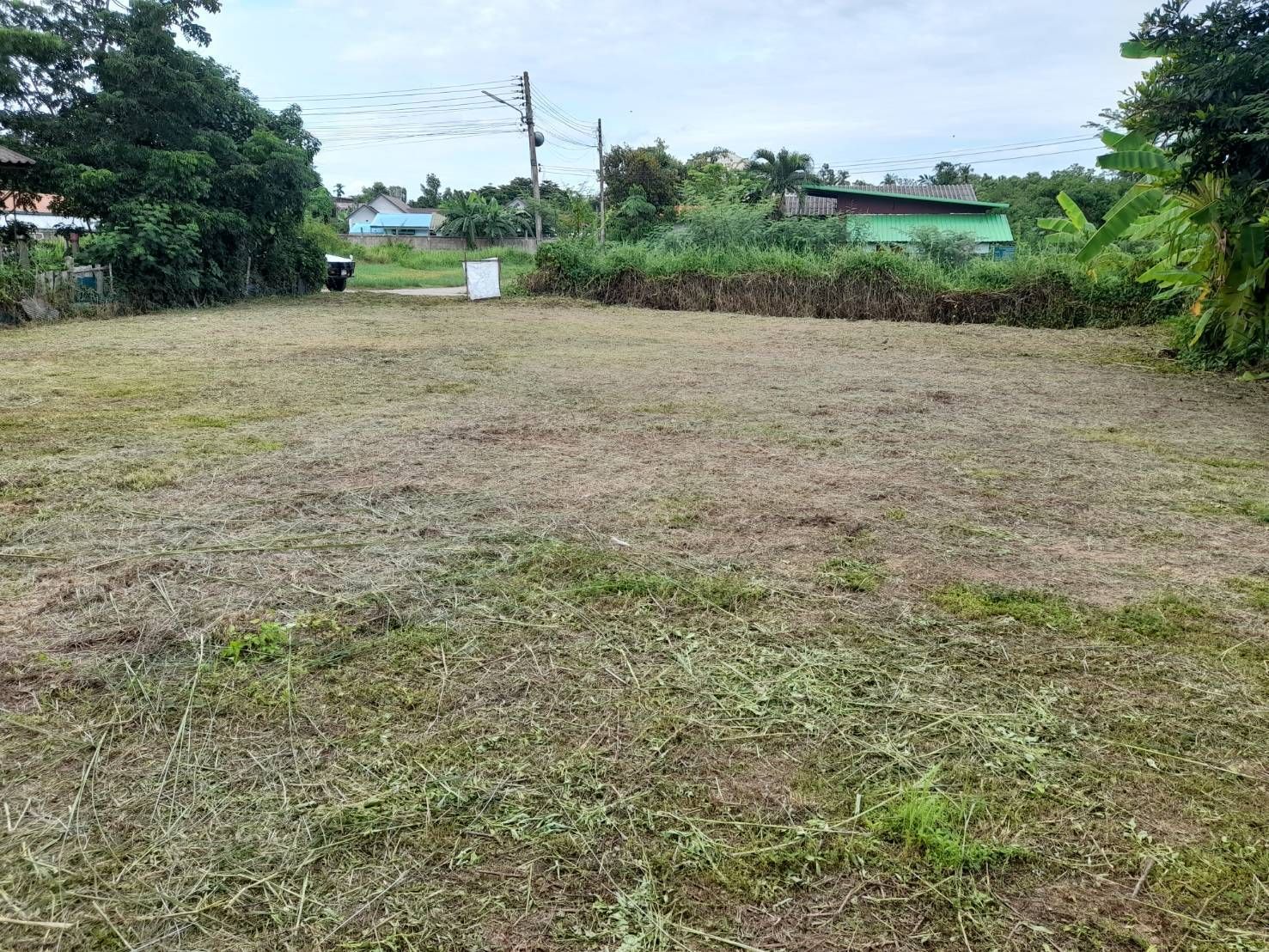 DD-0317 ขายที่ดินเปล่า 133 ตร.วา แปลงหัวมุม โซนสันทรายหลวง