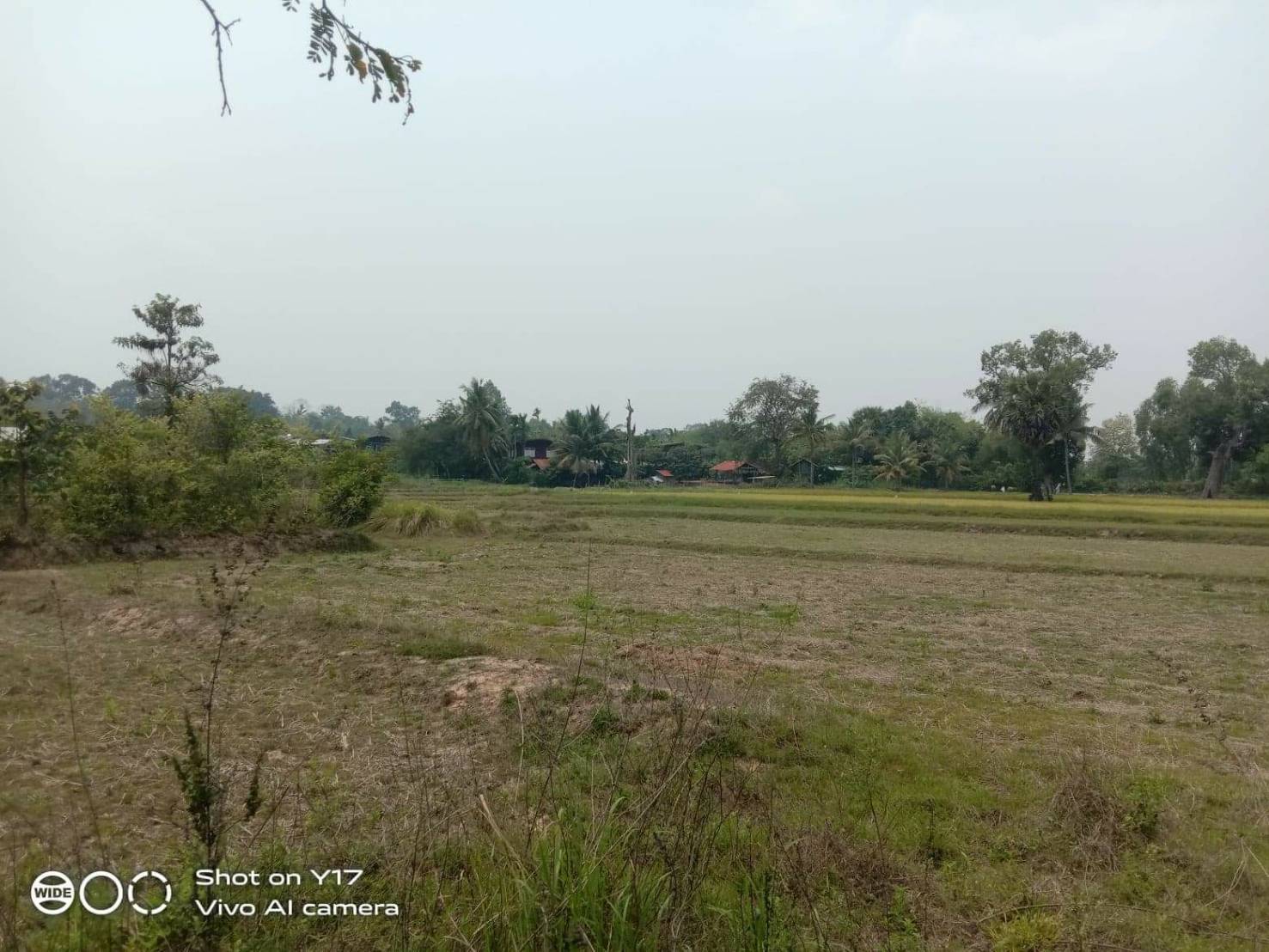 ที่ดินเปล่า อ.เมืองอุบลราชธานี จ.อุบลราชธานี 5-1-43