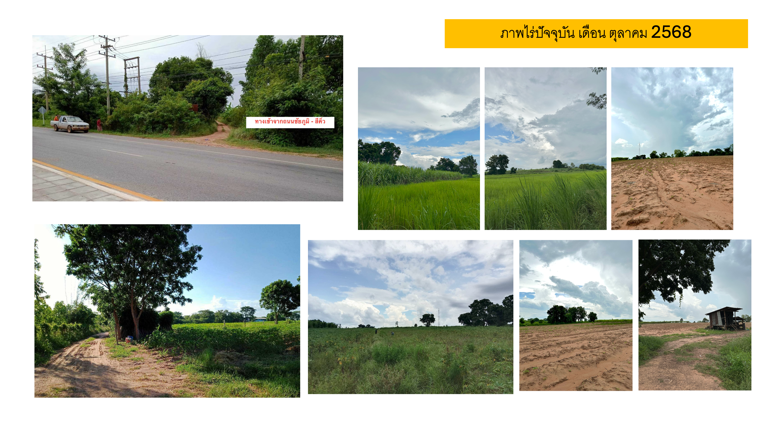 ขายที่ดิน ทั้งหมด 39 ไร่ 3 งาน (ราคาคุยได้ เจ้าของขายเอง)