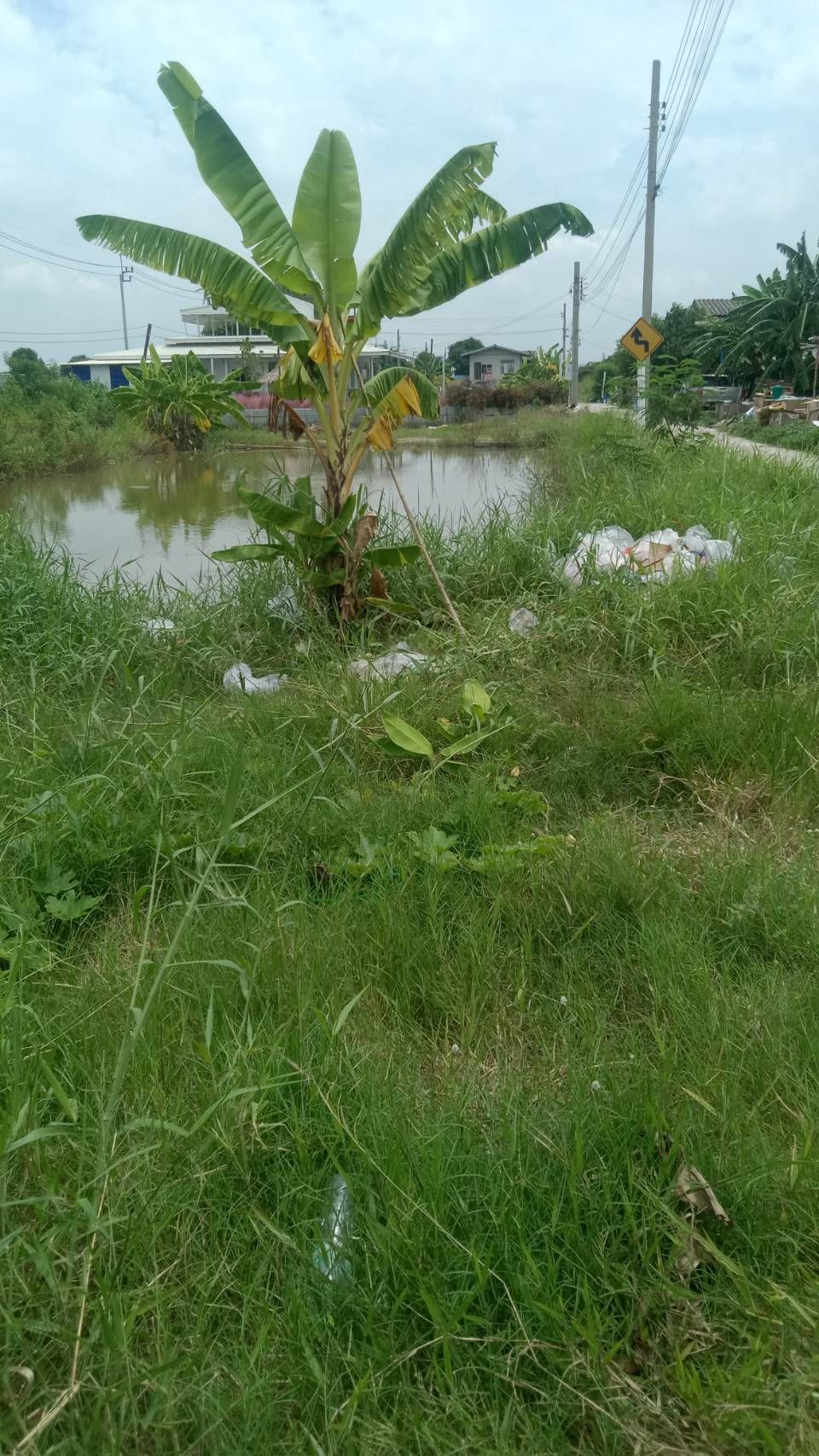 แปลงสวยติดถนนซอย  ทำเลดี ราคาถูก จังหวัดนนทบุรี