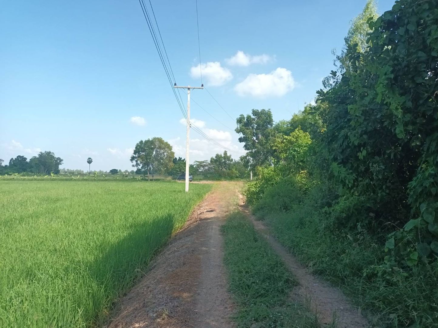 ขายที่นา แปลงใหญ่ อ.สามชุก จ.สุพรรณบุรี พื้นที่ 29 ไร่ มี 2 แปลงติดกัน ขายทั้งสิ้น 10 ลบ. ข้าวกำลังออกรวงเต็มพื้นที่ เจ้าของขายเอง สนใจติดต่อ ปุ้ย 08-9920-9893