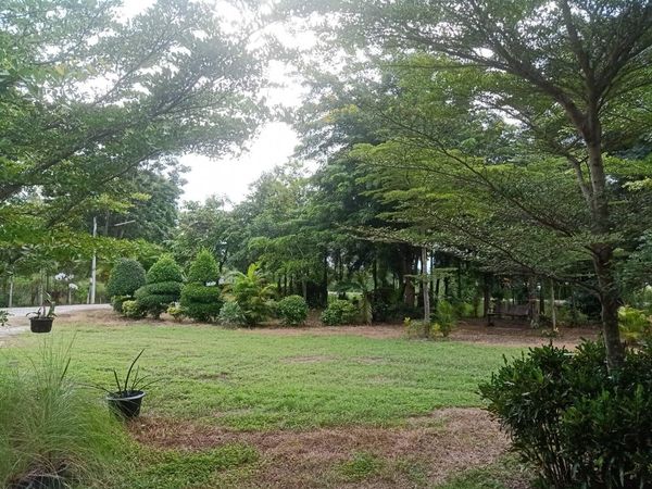 รีสอร์ท พร้อมที่ดิน 15 ไร่เศษ เพชรบูรณ์ 