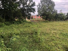 ขายที่ดิน ใกล้ ม.แม่ฟ้าหลวง เชียงราย 2 ไร่
