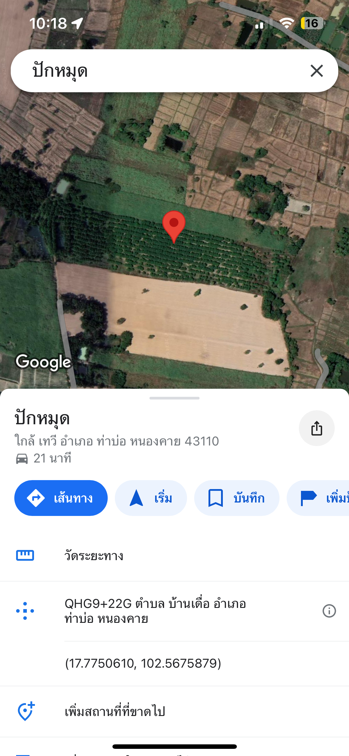 สวนยาง