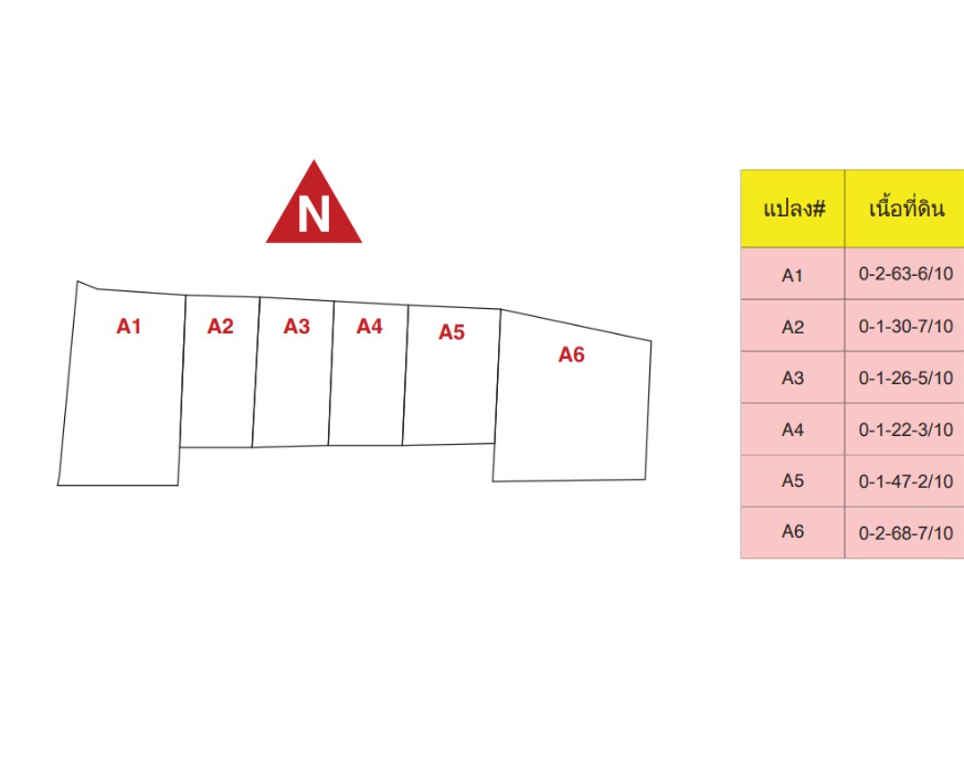 ขายที่ดินชัยภูมิ แบ่งแปลงขายเริ่มที่ ขนาด 99 ตารางวา.