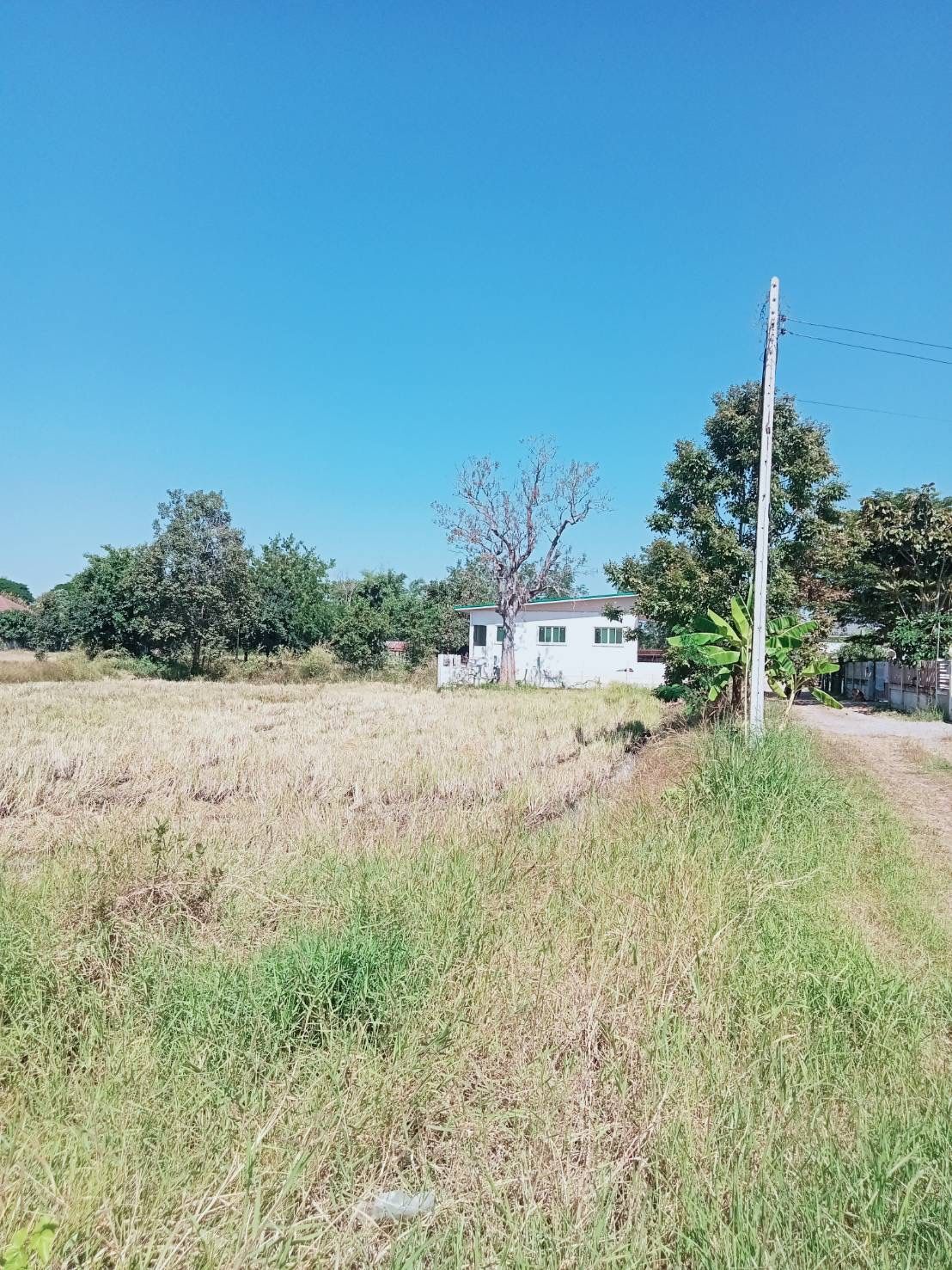 ขายที่ดินชัยภูมิ อำเภอเมือง ที่ดินเปล่า
