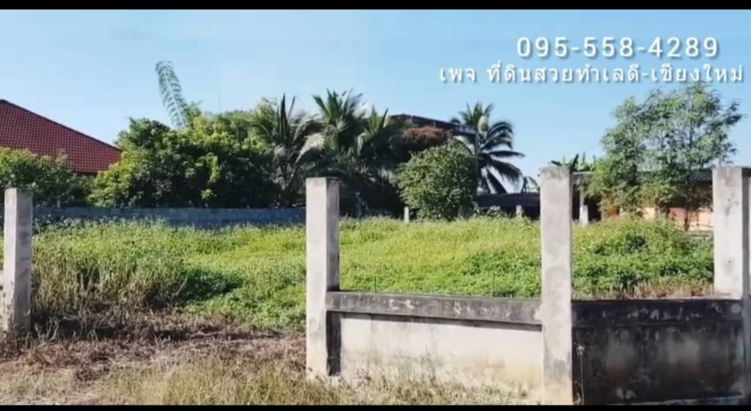 ที่ดินเเม่ริม112ตรว แปลงมุม ถมเเล้ว ล้อมรั้วเเล้ว วิวภูเขา