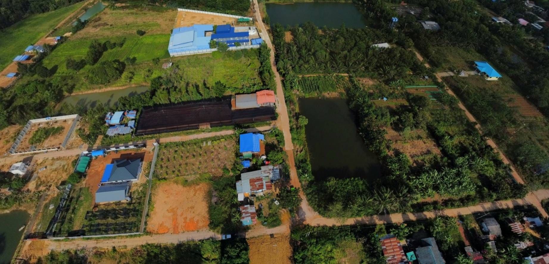 ขายที่ดิน 