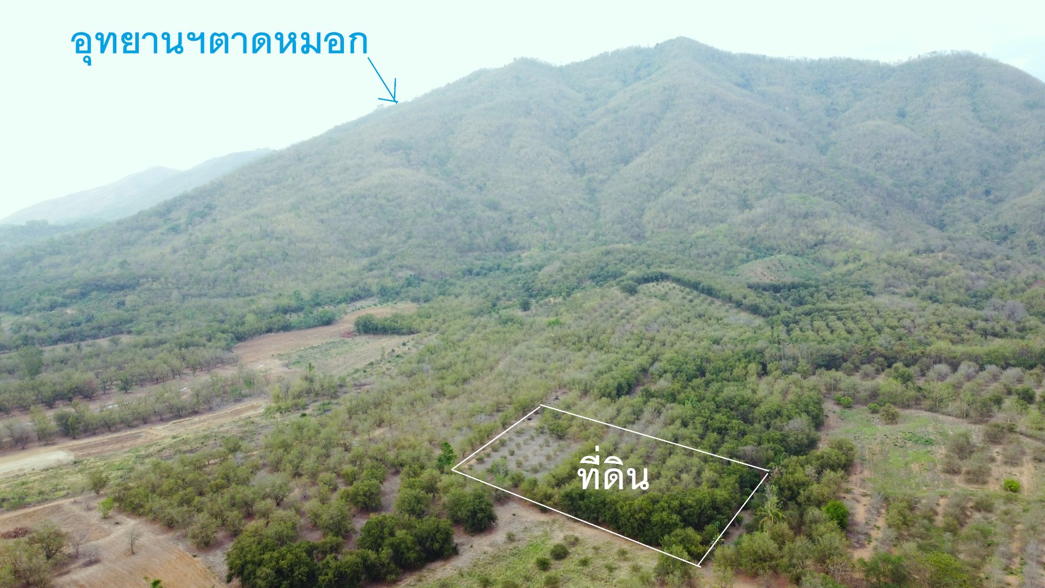 ที่ดินสวรมะขามหวาน เมืองเพชรบูรณ์ 4-2-65 ไร่
