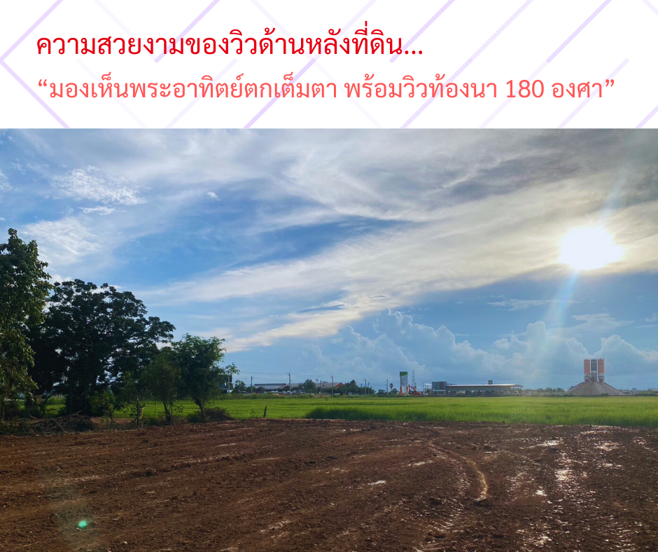 ขายที่ดินยกแปลง ใกล้ ม.นเรศวร เพียง 5 กม.เท่านั้น