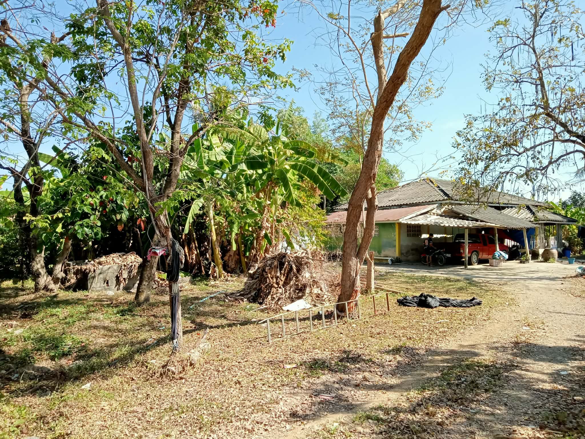 ขายที่ดินพร้อมบ้านสวน