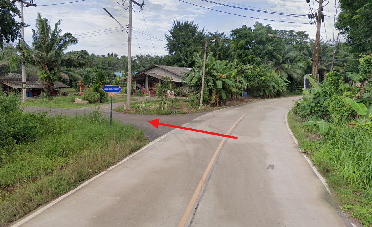 ขายที่ดินสุราษฎร์ธานี อำเภอเมือง ที่ดินแปลงสวย บรรยากาศดี มีความเป็นส่วนตัว เหมาะปลูกบ้านมาก