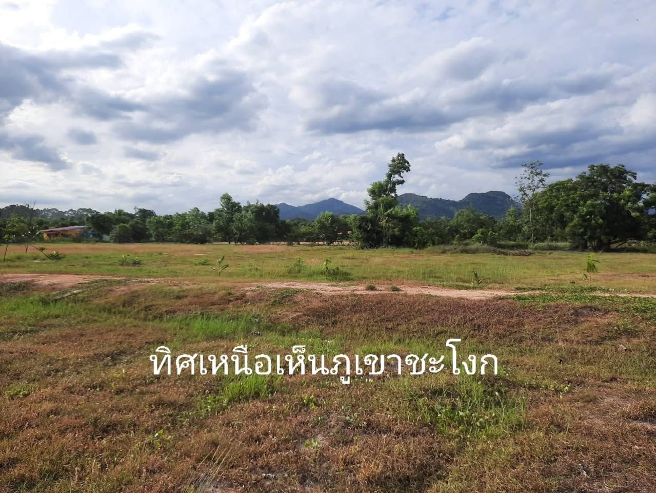 ที่ดินเปล่านครนายก ราคาถูก