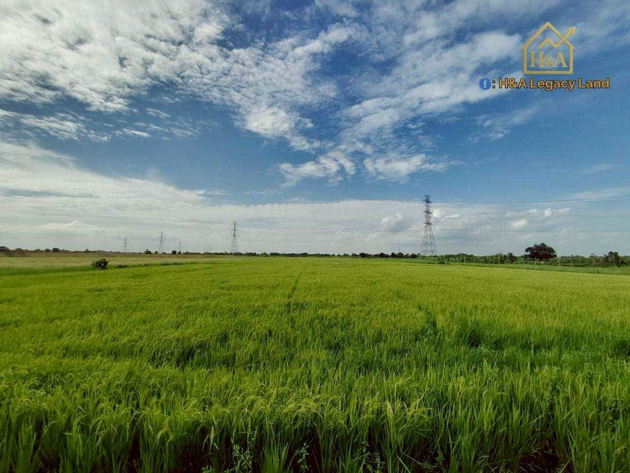 ขายที่ดินเปล่าแปลงสวย ติดถนนใหญ่ อย.3006 ลาดบัวหลวง–ไม้ตรา อ.ลาดบัวหลวง จ.พระนครศรีอยุธยา 30-3-74 ไร่