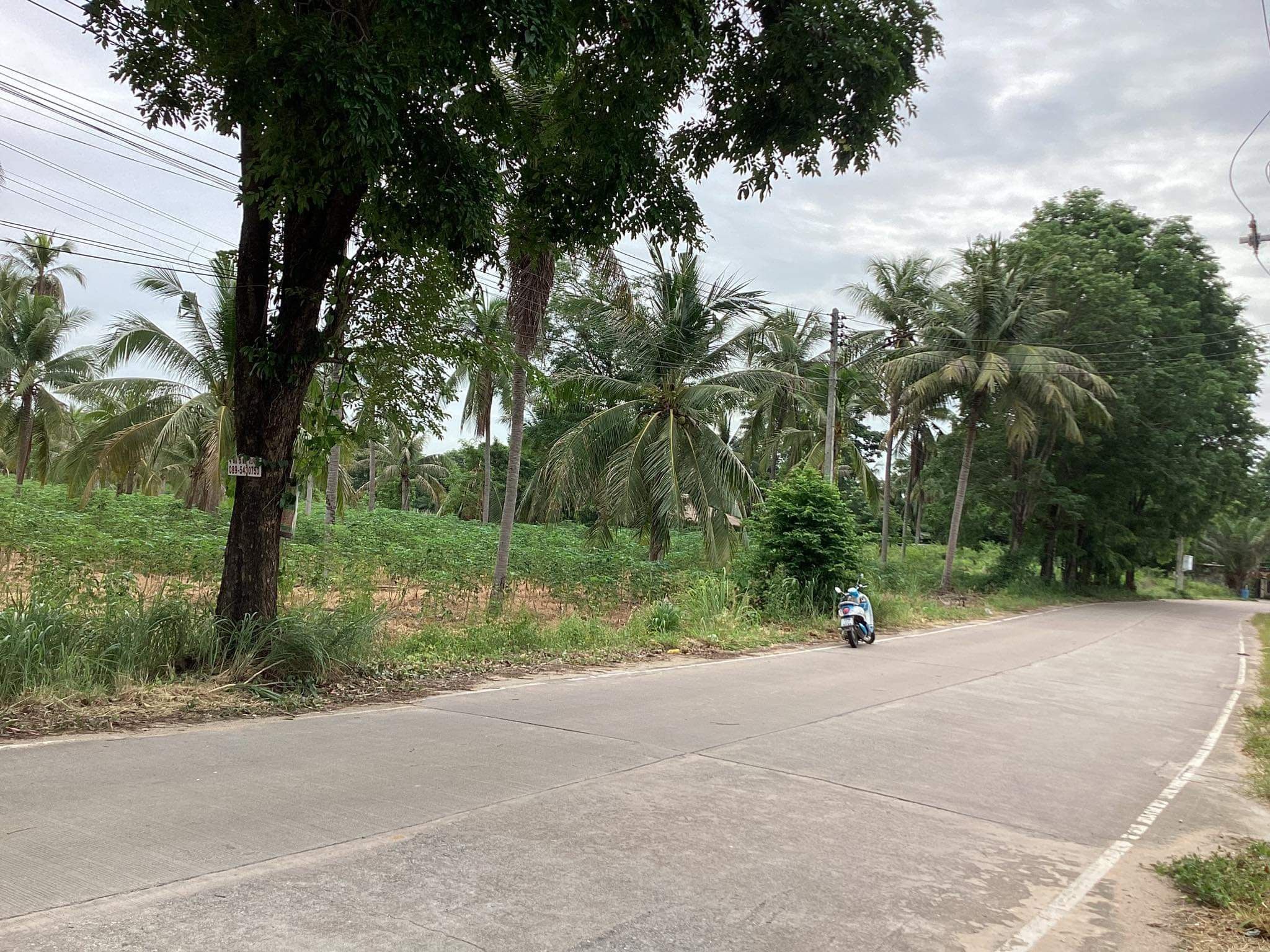 ขายที่ดินชลบุรี ขาดตัวเจ้าของออกให้หมด ที่ดินแปลงสวย บรรยากาศดี เดินทางสะดวก บางละมุง ชลบุรี 7-0-54 ไร่.
