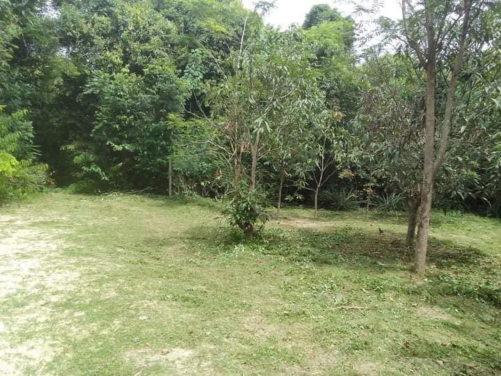 ที่ดินข้างสนามบินหาดใหญ่ สงขลา 68.8
