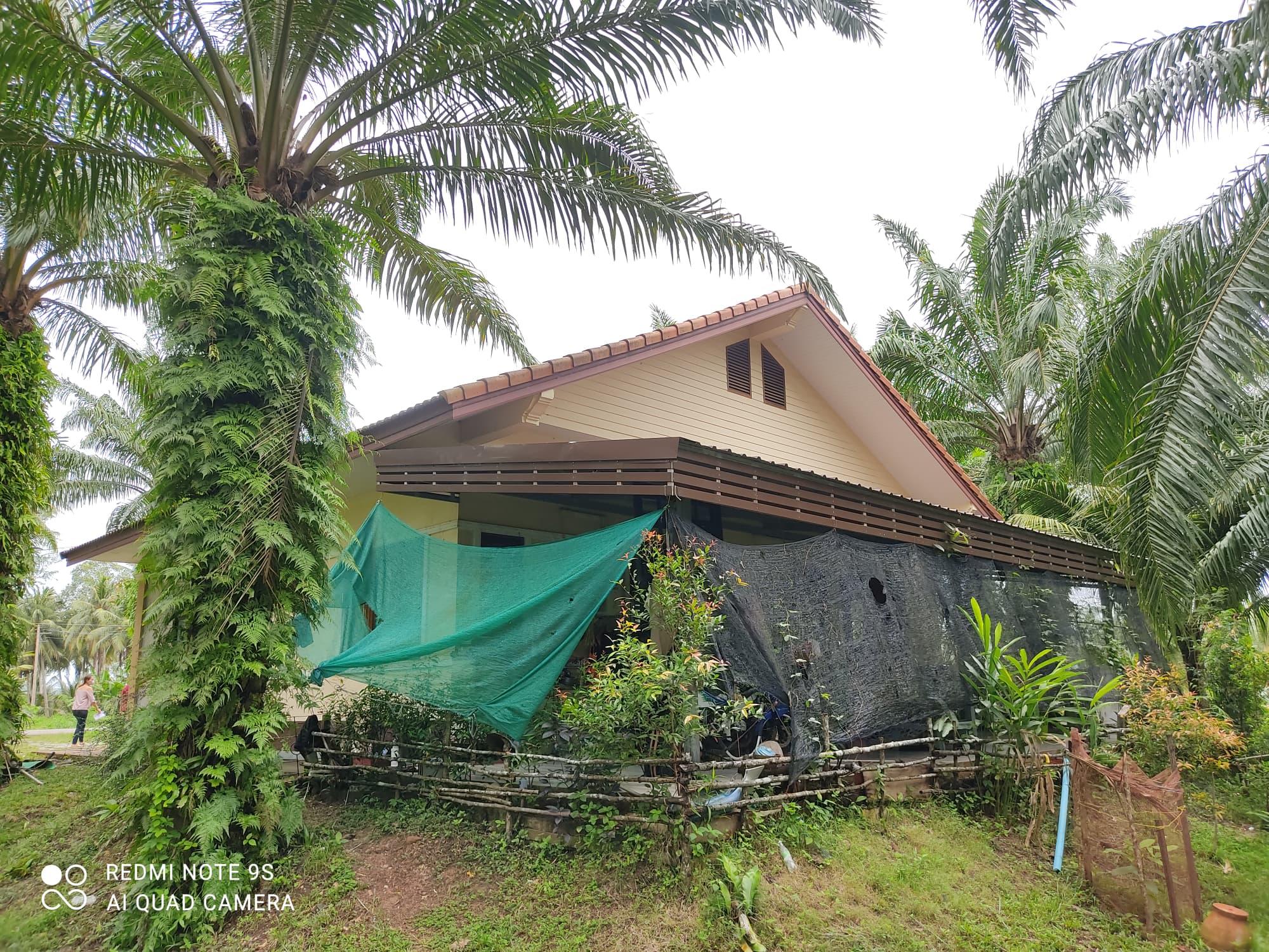 บ้านและสวนสวย 🏠 ใกล้ชายทะเล อ.ปะทิว จ.ชุมพร