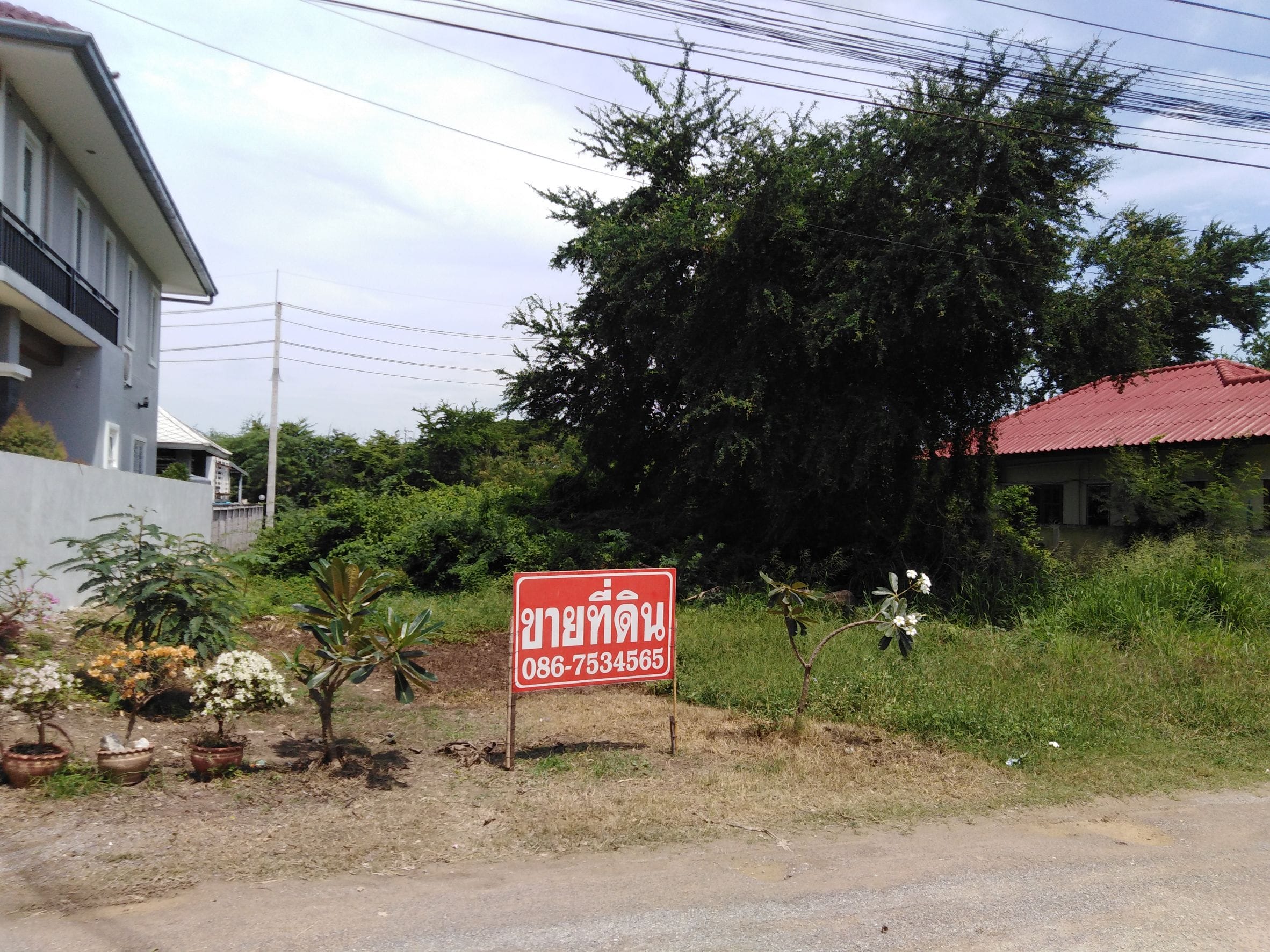 ขายที่ดินตำบลหนองแก  อำเภอหัวหิน จังหวัดประจวบคีรีขันธ์ จำนวน 100 ตารางวา