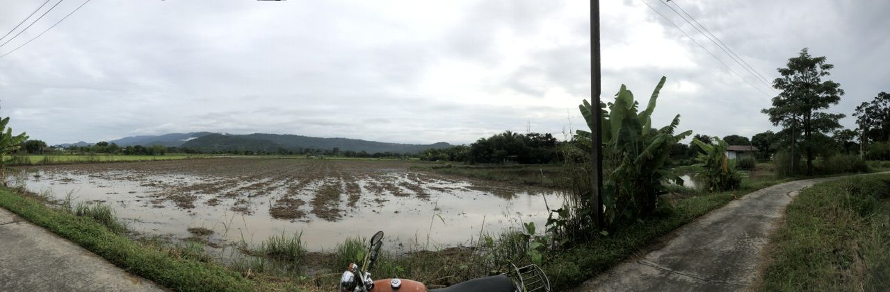 ขายที่ดิน