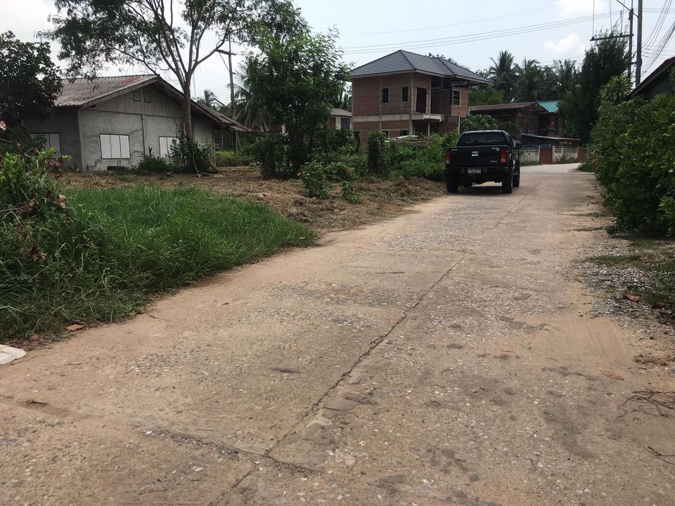 ขายที่ดิน อ.นครไทย จ.พิษณุโลก 59 ตรว.
