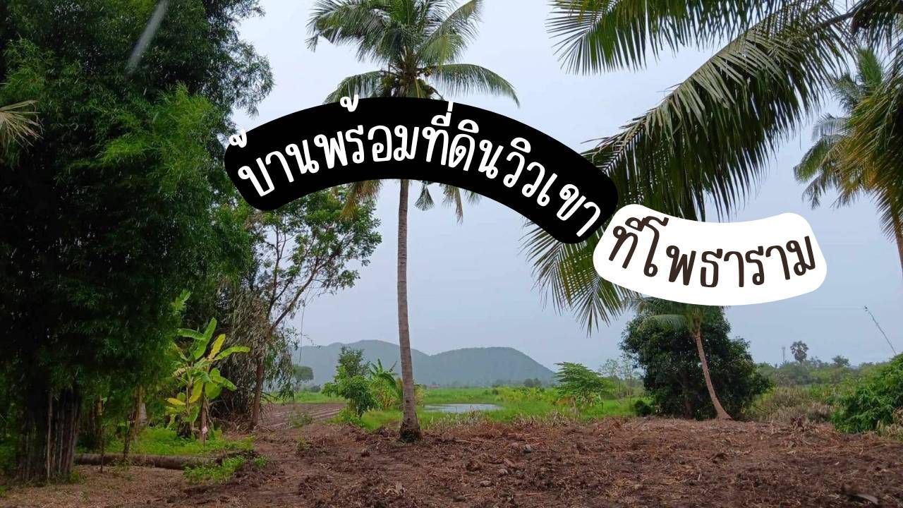 ขายที่ดินราชบุรี อำเภอโพธาราม ที่ดินทำเลงาม บรรยากาศดีมาก มีบ้านปลูกในพื้นที่ สามารถลงทุนได้หลากหลาย