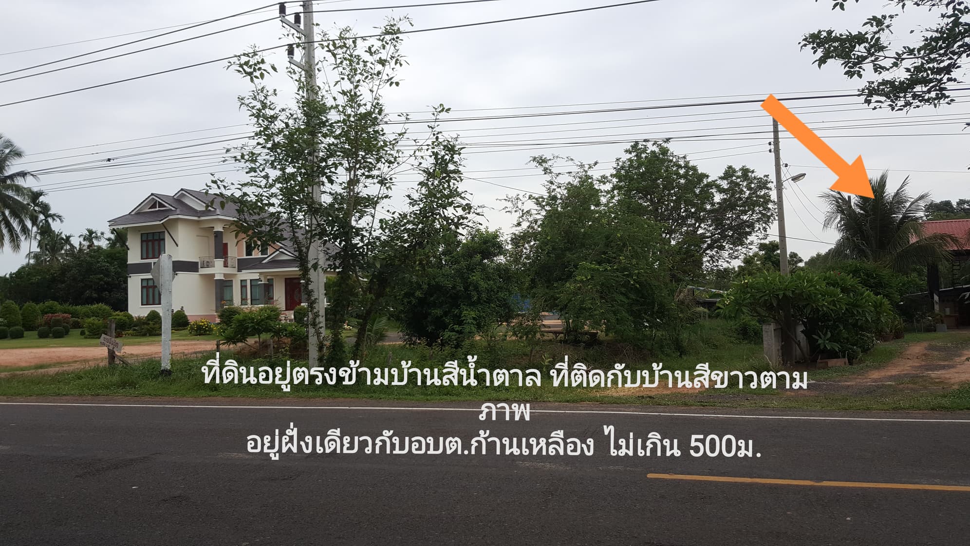 ที่ดินสวย บุรีรัมย์ 11-0-95