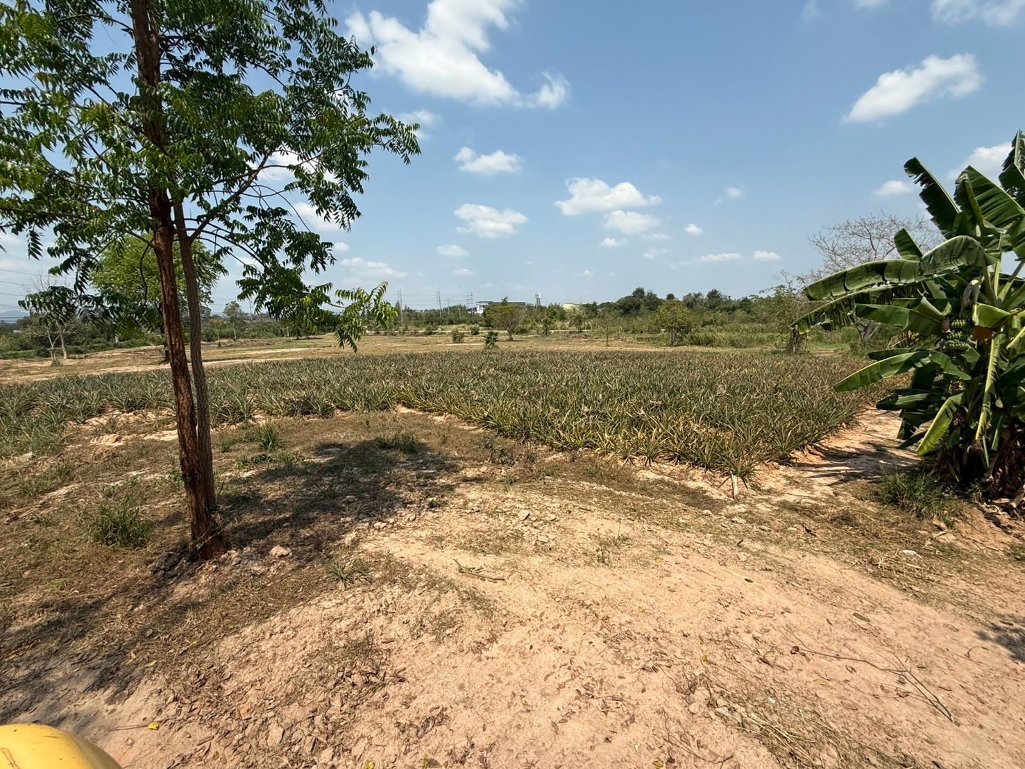 ที่ดินแปลงใหญ่ 15 ไร่ ติดสี่แยกบายพาสเพชรเกษม หัวหิน