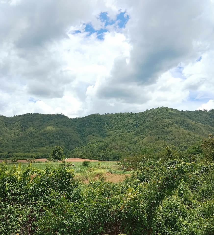 ขายที่ดินแปลงสวย วิวดี ติดภูเขา 19-0-64.8 อุตรดิตถ์