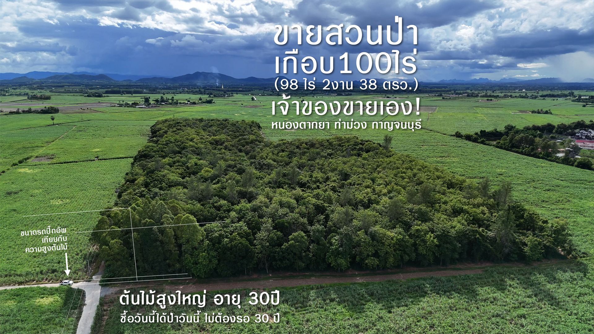 แบ่งขายสวนป่า โฉนดครุฑแดง หนองตากยา กาญจนบุรี เกือบ 100ไร่ (98 ไร่ 96.4 ตารางวา)แบ่ง 4 แปลง แปลงละประมาณ 25 ไร่ 9ล้าน/แปลง