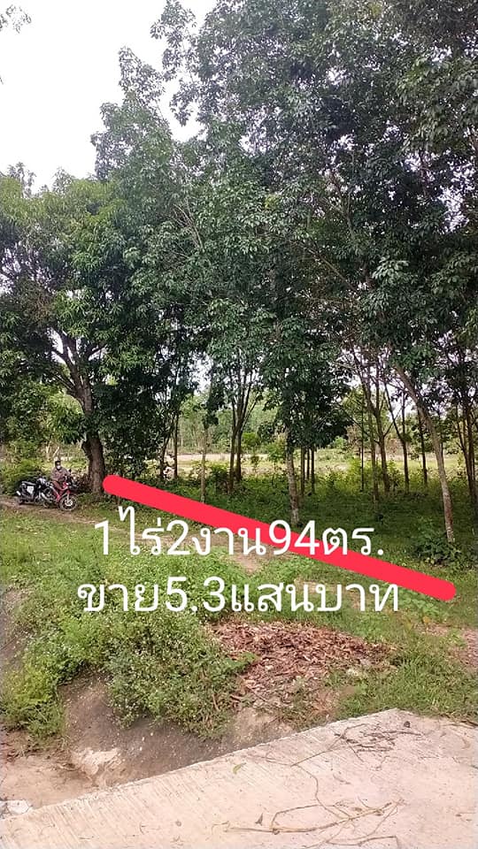 สวยยาง ติดคลองชลประทาน อุบลราชธานี 1-2-94 ไร่