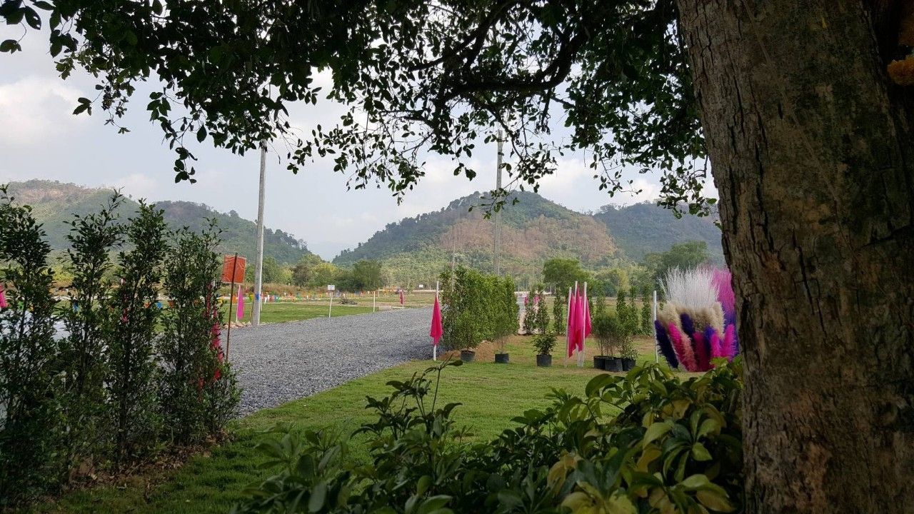 ขายที่ดินวิวภูเขา
