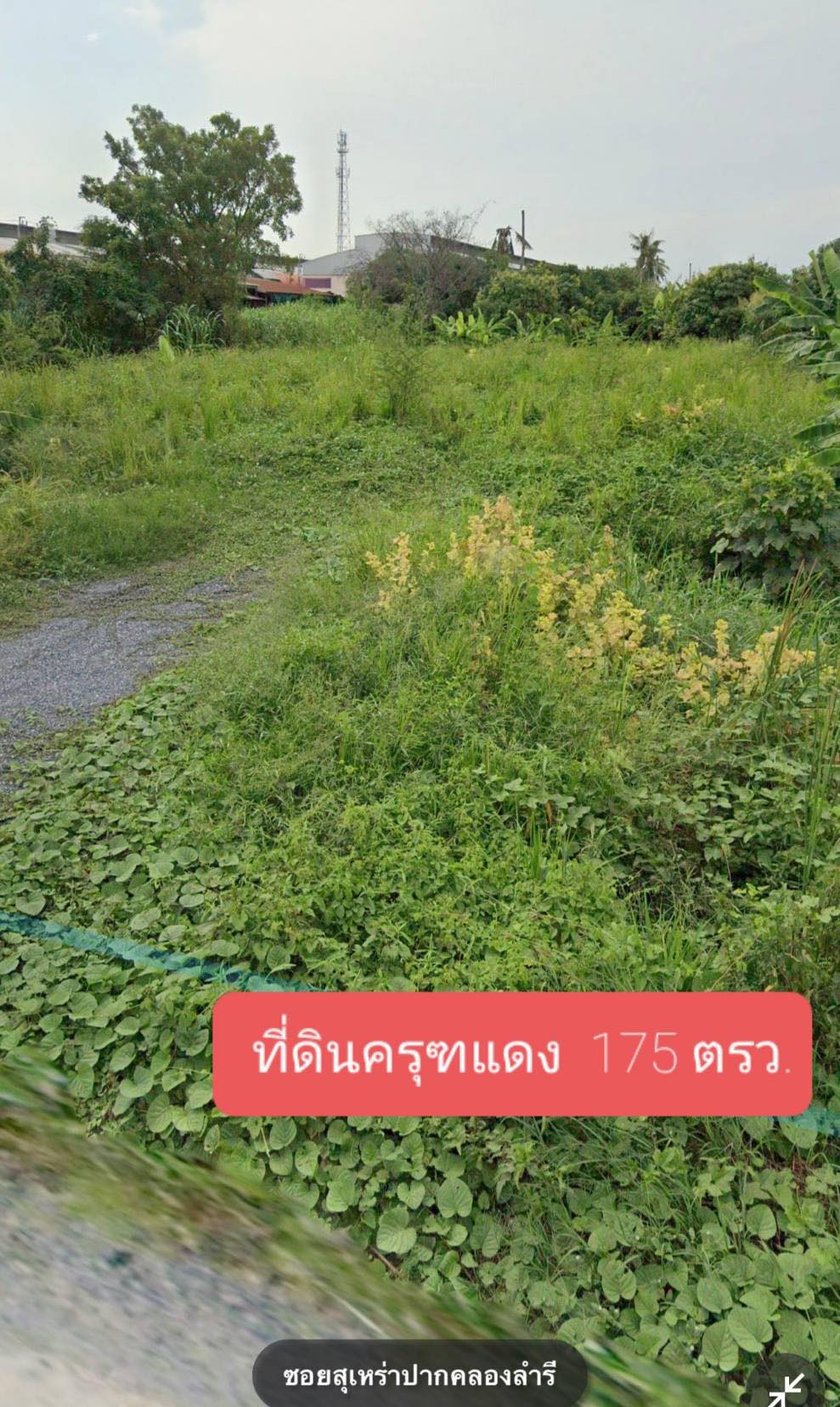ที่ดินเปล่า อ.บางบัวทอง จ.นนทบุรี 0-1-75