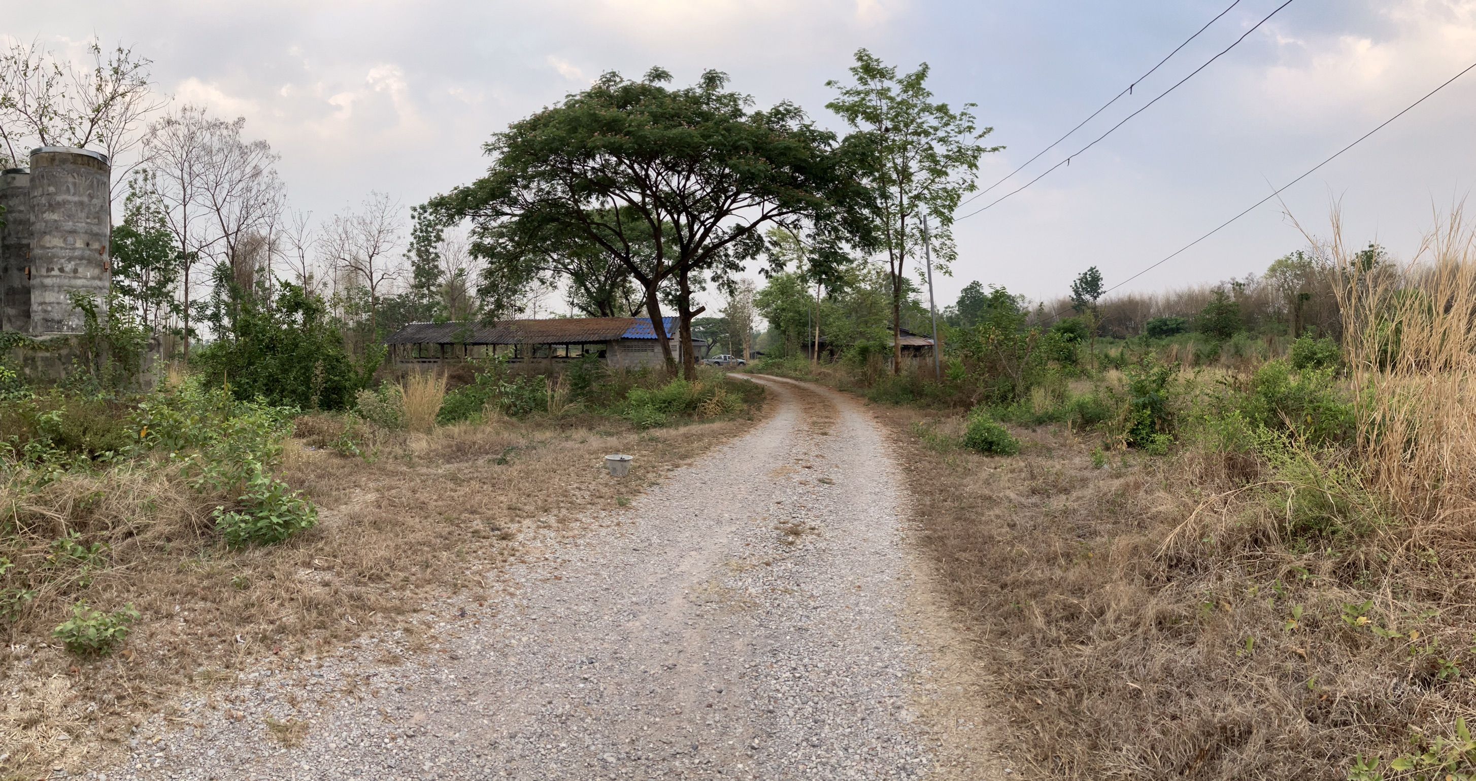 ที่สวน เกือบ 12 ไร่ บ้านสวนพร้อมโรงเรือนและสระน้ำ ใน บ้านหล่ายทุ่ง แม่ทะ ลำปาง
