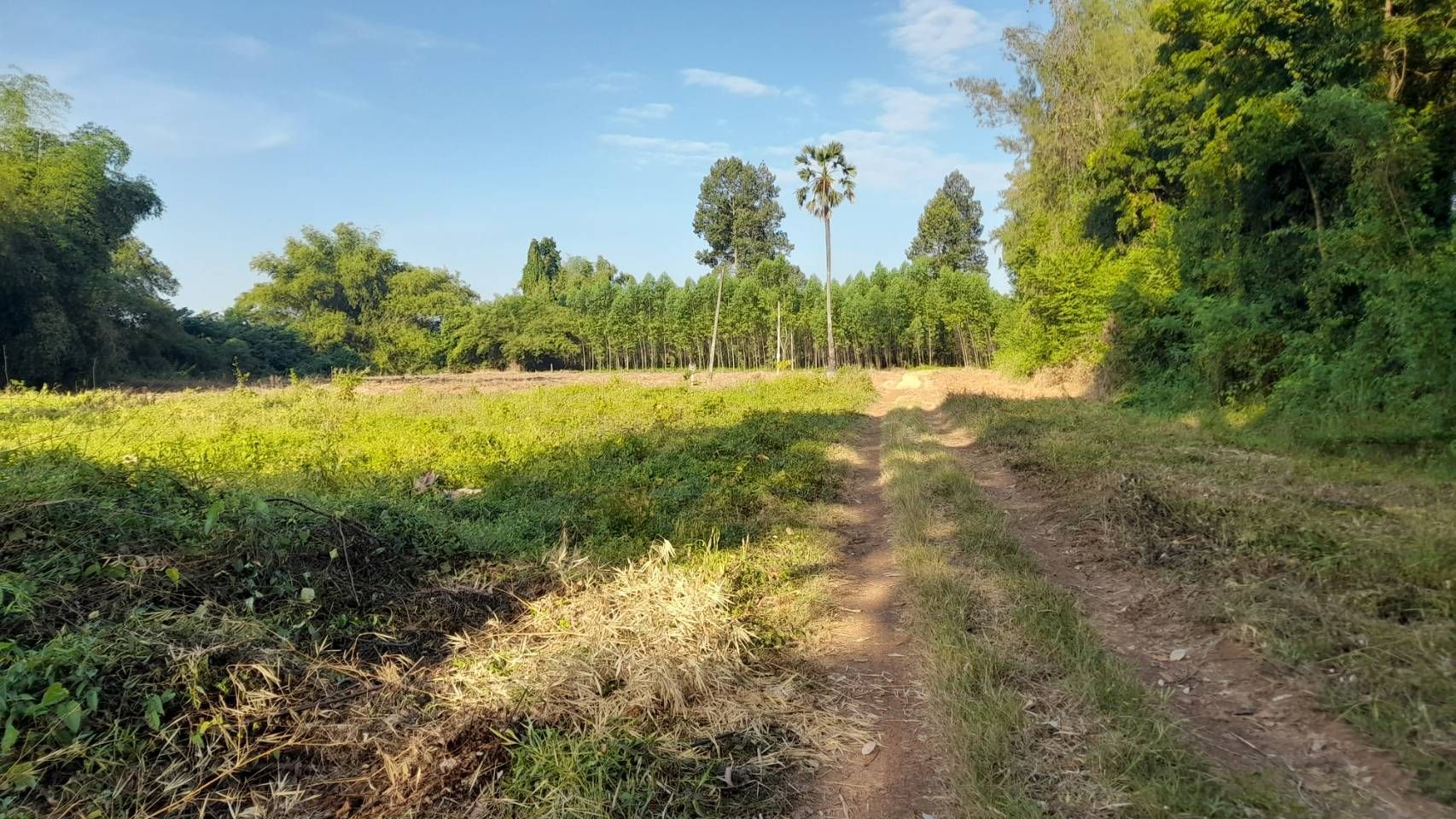 ขายที่ดินปราจีนบุรี อำเภอกบินทร์บุรี  2 ไร่ นิคมบ่อทอง