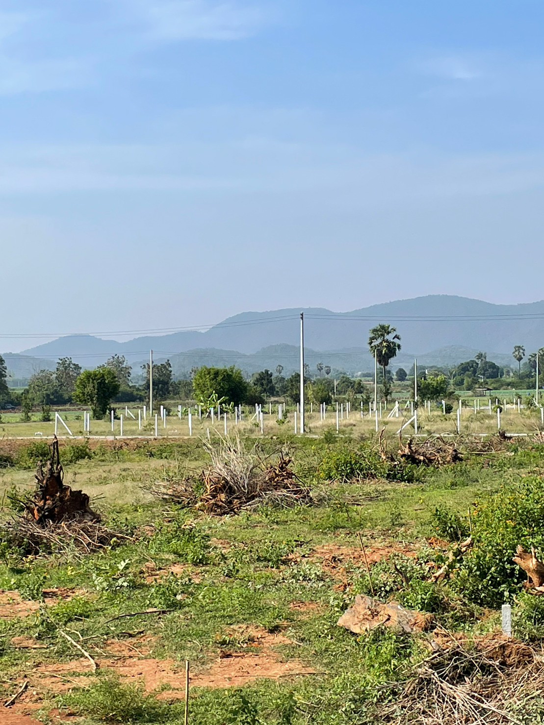 ขายที่ดิน สุพรรณบุรี 1-0-59 ไร่