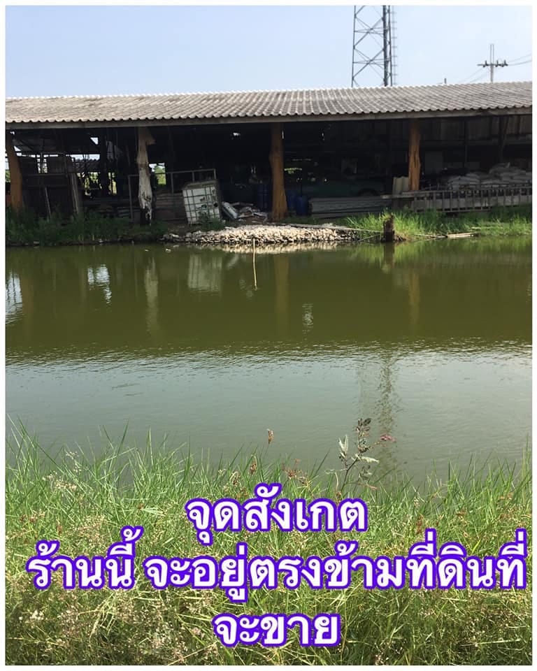 ขายที่่ดิน ลาดกระบัง กทม 21-0-83 ไร่