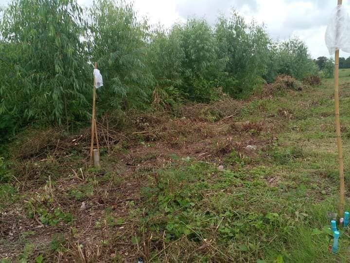 ขายที่ดิน สุพรรณบุรี 9-3-27