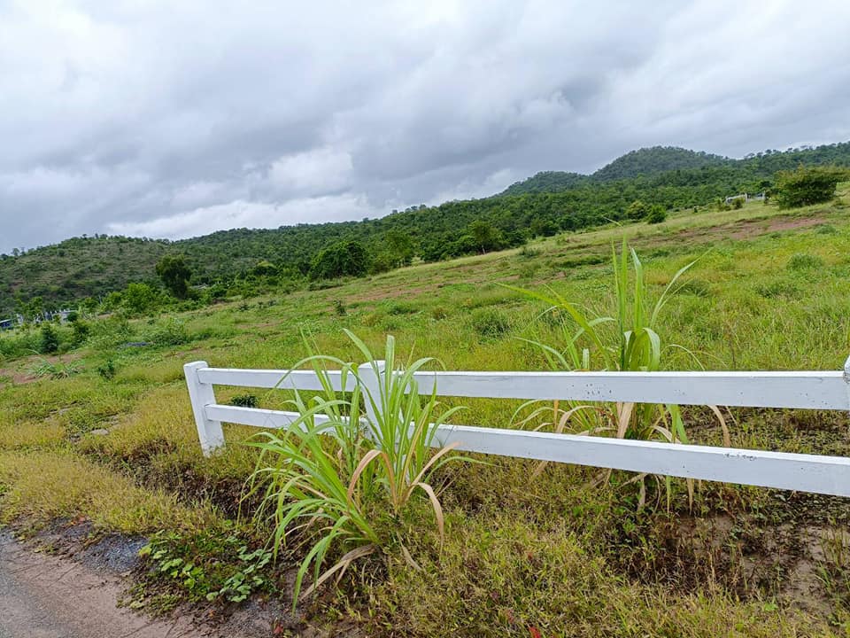 ที่ดินติดทางสาธารณะ เลาขวัญ กาญจนบุรี 2 ไร่