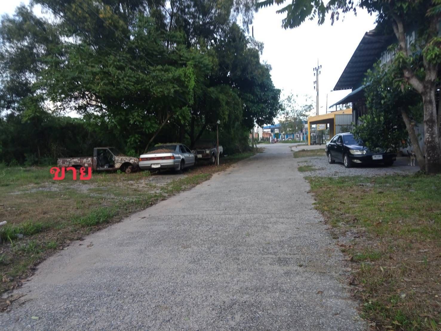 ขายที่ดินเปล่า 2 ห้อง (ถมที่แล้ว) ซอยโชคดี ตรงข้ามปั๊ม ปตท.