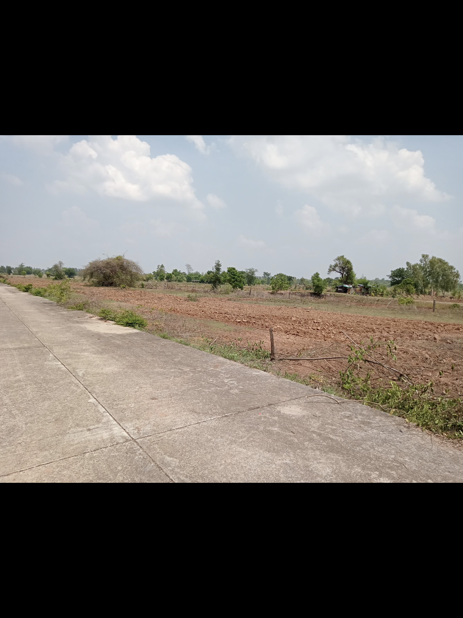 ขายที่ดิน